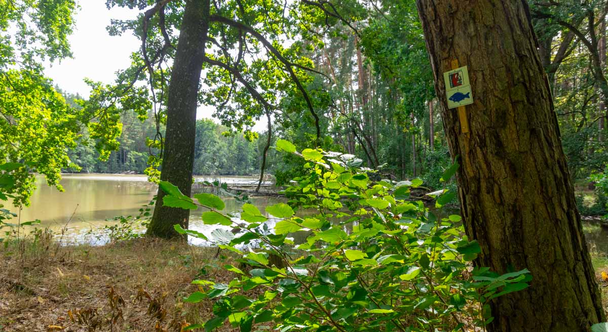 Wie digitale Planung spontane Ausflüge in die Natur erleichtert 2