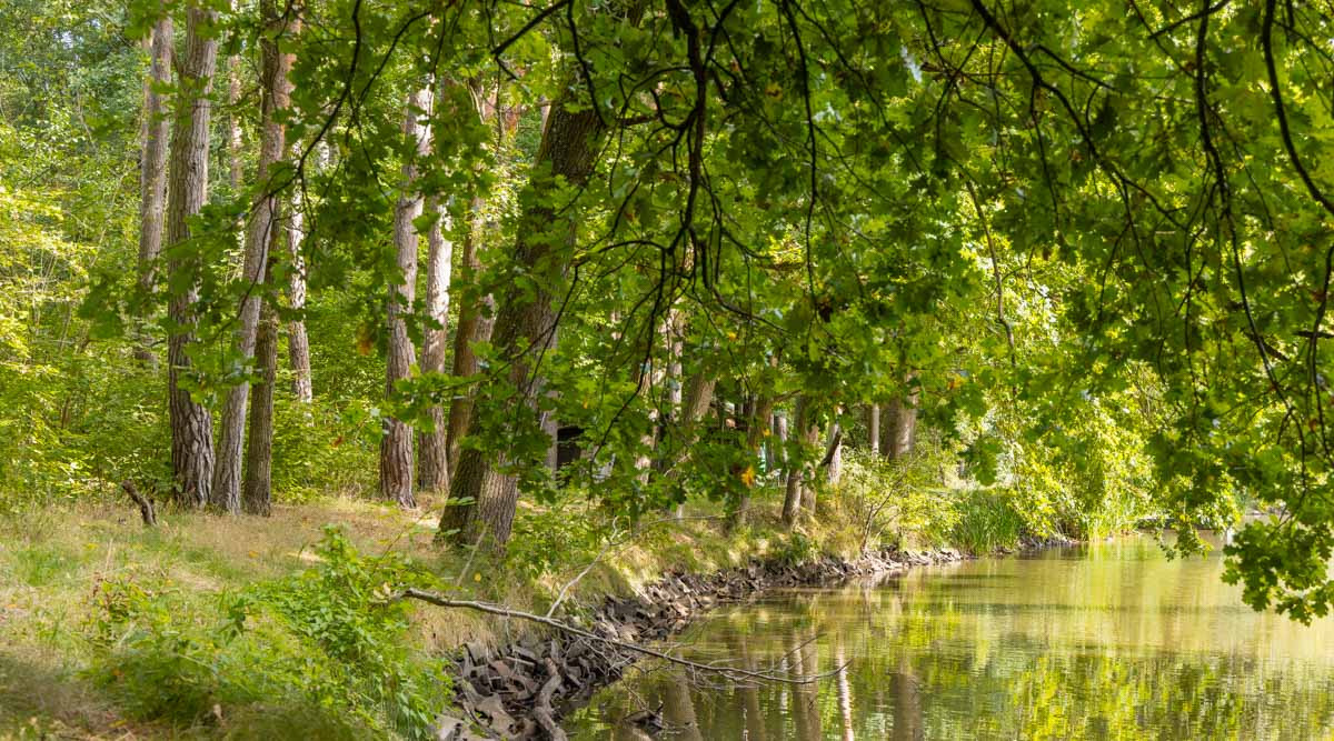 Idyllische Orte am Karpfenwanderweg, wie hier am kleinen Weiher.