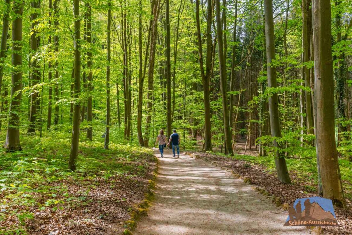 Im Felsengarten Sanspareil sind die meisten Wege Barrierefrei und es gibt kaum Höhenunterschiede