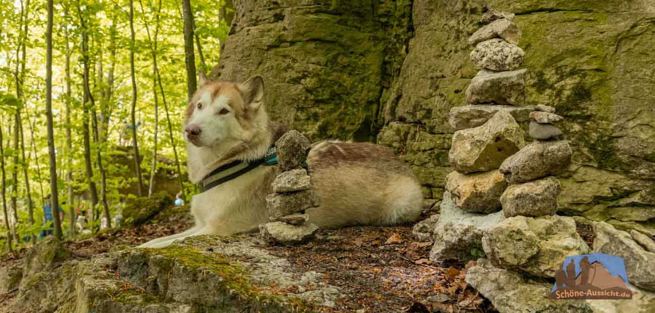 Mit Hund in Sanspareil