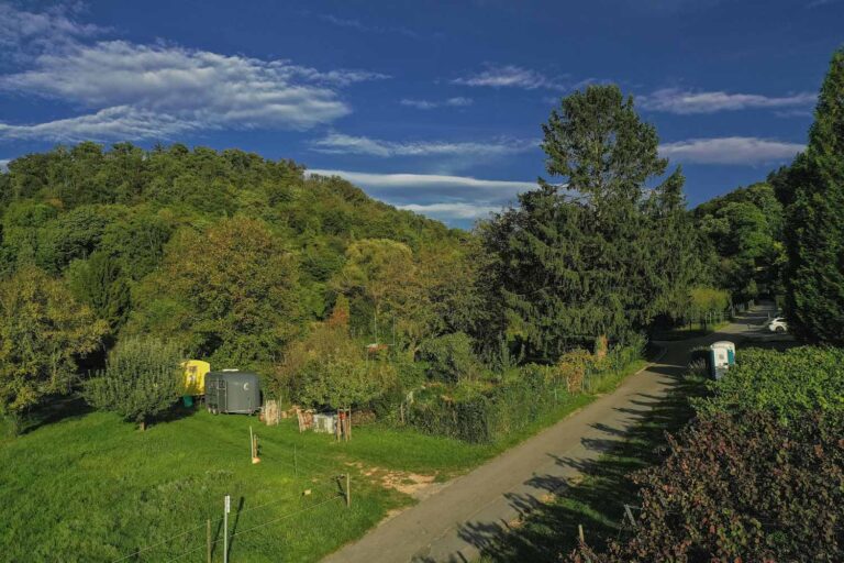 Der Burgensteig Bergstraße mit Karte und Etappen