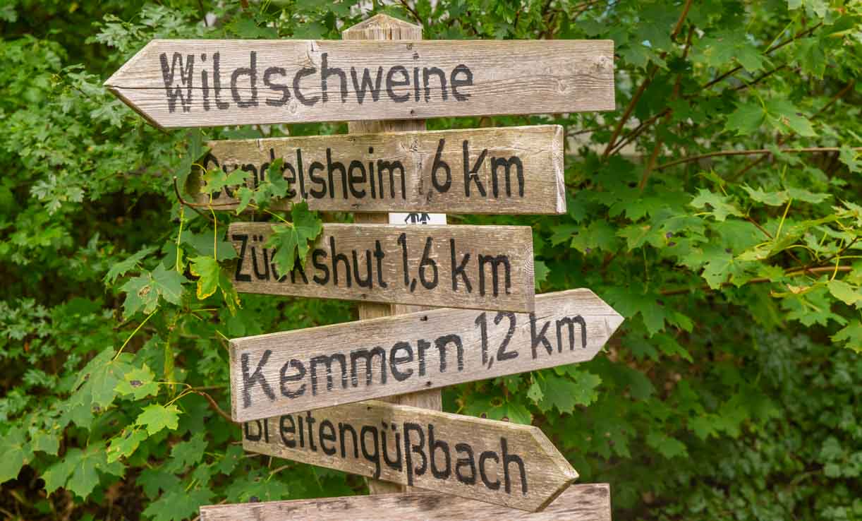 Fledermausweg - Barrierefreie Wanderung durch das waldige Gelände der MUNA in Breitengüßbach