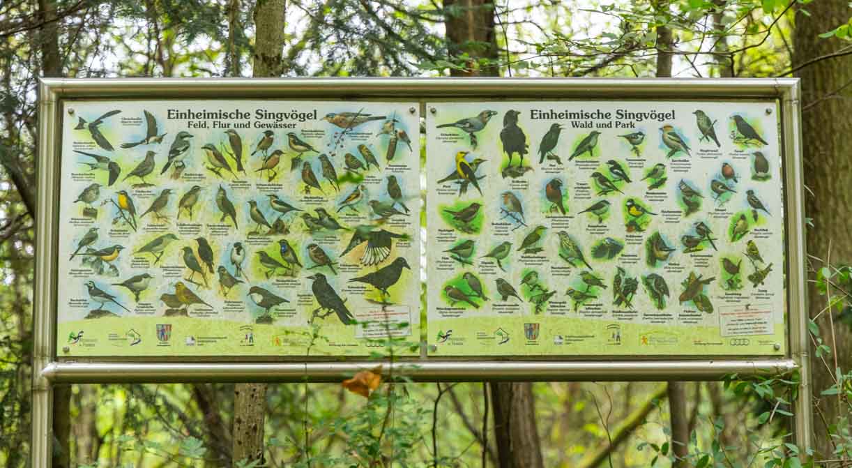 Viele Infotafeln als Walderlebnis