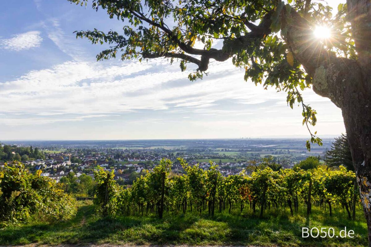 Aussicht auf den Naturpark Bergstraße Odenwald
