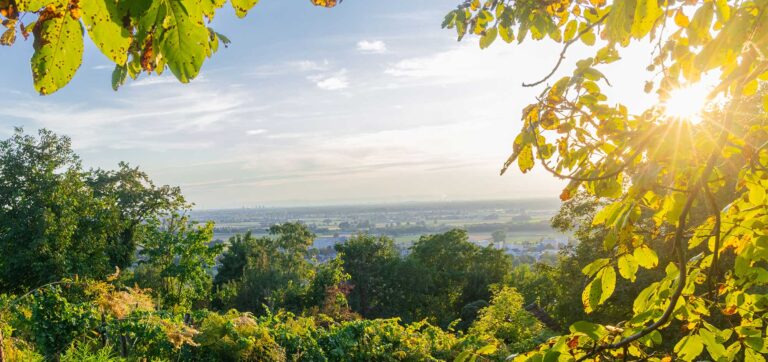 Wandern im Odenwald - Zauberhafte Wege für alle