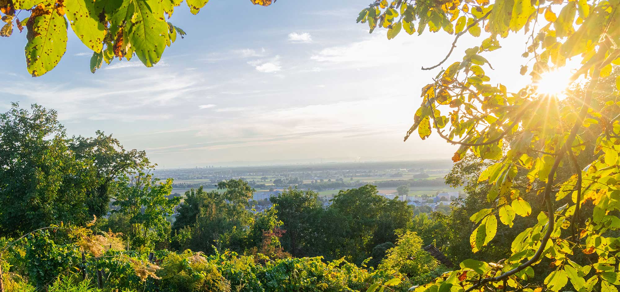 Wandern im Odenwald - Die schönsten Wege, Ausflüge und Gasthöfe 1 Wandern im Odenwald - Die schönsten Wege, Ausflüge und Gasthöfe 1