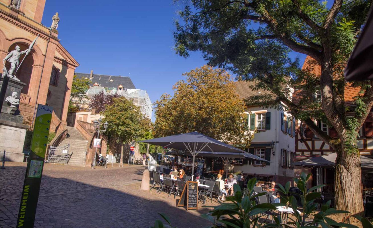 Wandern in Weinheim - Vielfalt im Odenwald für alle Wanderer 2