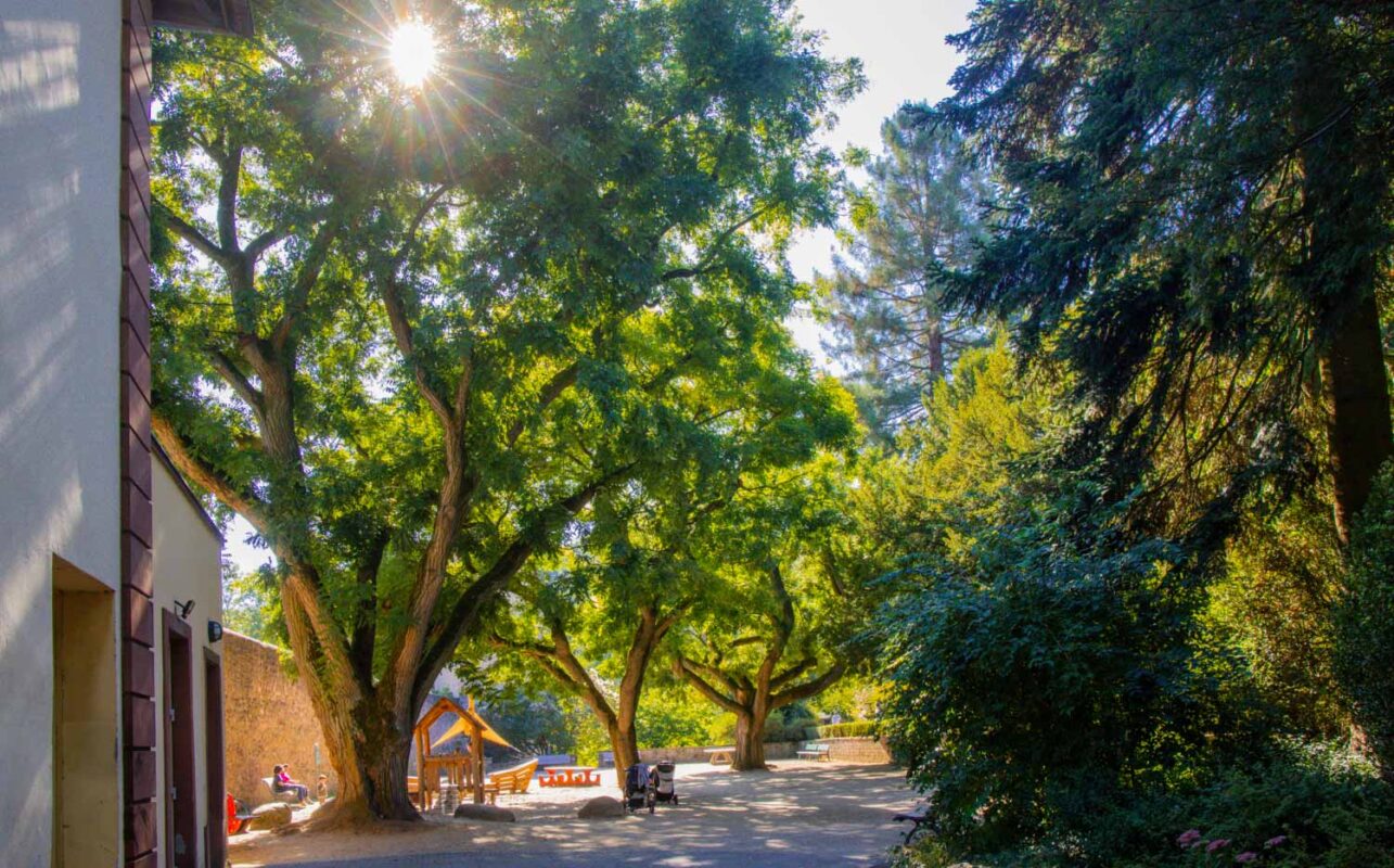 Stadtwanderung im historischen Weinheim 10