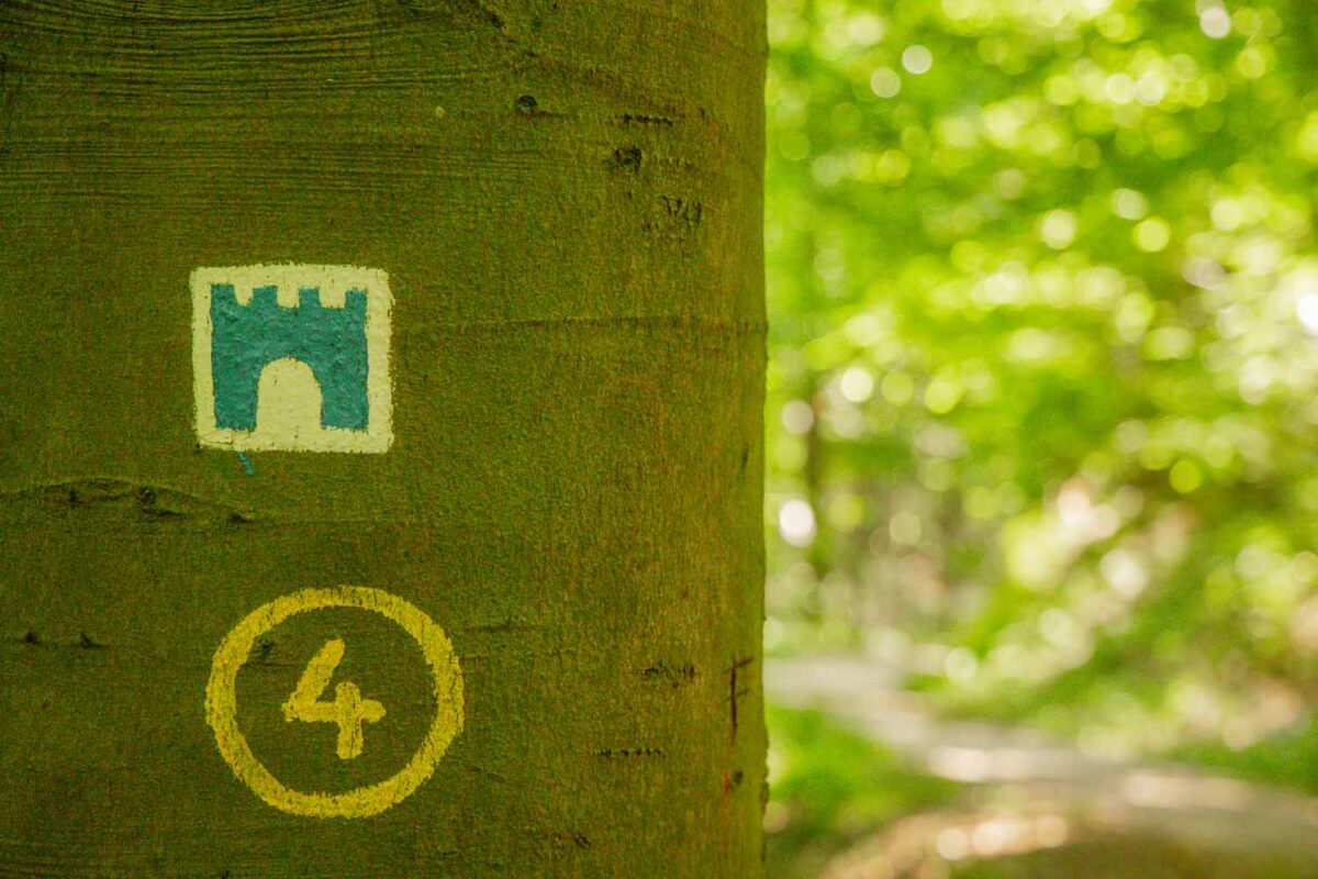 Wandern in Weinheim - Vielfalt im Odenwald für alle Wanderer 3