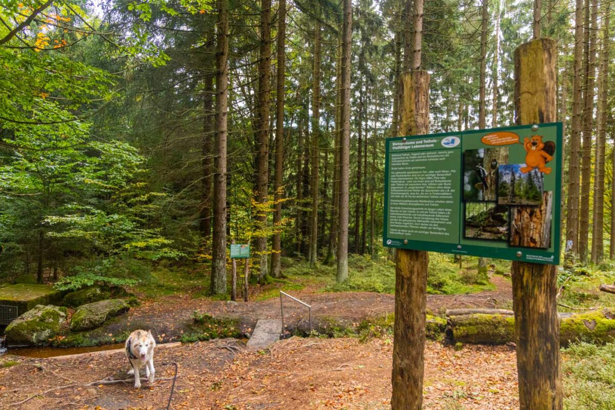 Barfussweg am Fichtelsee