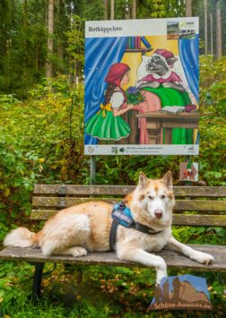 Der familienfreundliche Wanderweg mit Hörspielen am Smartphone