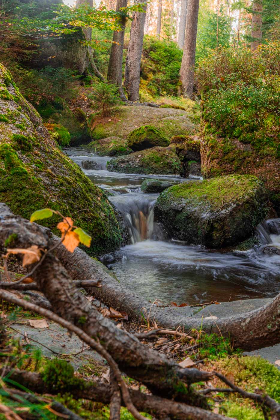 Der Weißmain-ochsenkopf-Steig ist eine echte Traumtour, auch mit Hund