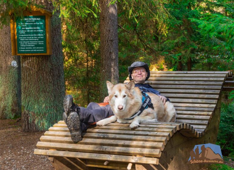 Perfekte Kombination aus Wald, Wasser und Erholung -- Der Wellnessweg