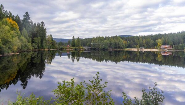 Der Fichtelsee am Ochsenkopf, perfekt zum Wandern, mit HUnd, Einkehr und barrierefrei