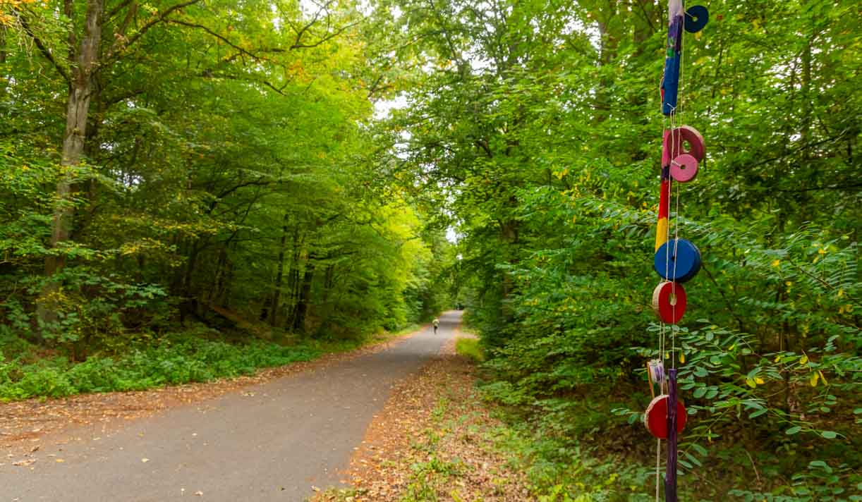 Barrierefreie Touren in Franken - Viel Natur auf leichten Wegen 1 Barrierefreie Wege und Touren in Franken