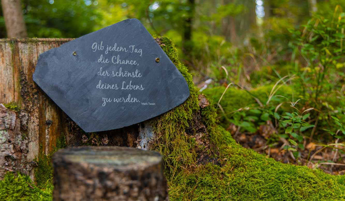 Märchenwanderweg in Bischofsgrün Kleine Tour für die Familie 5 Märchenwanderweg in Bischofsgrün Kleine Tour für die Familie 1