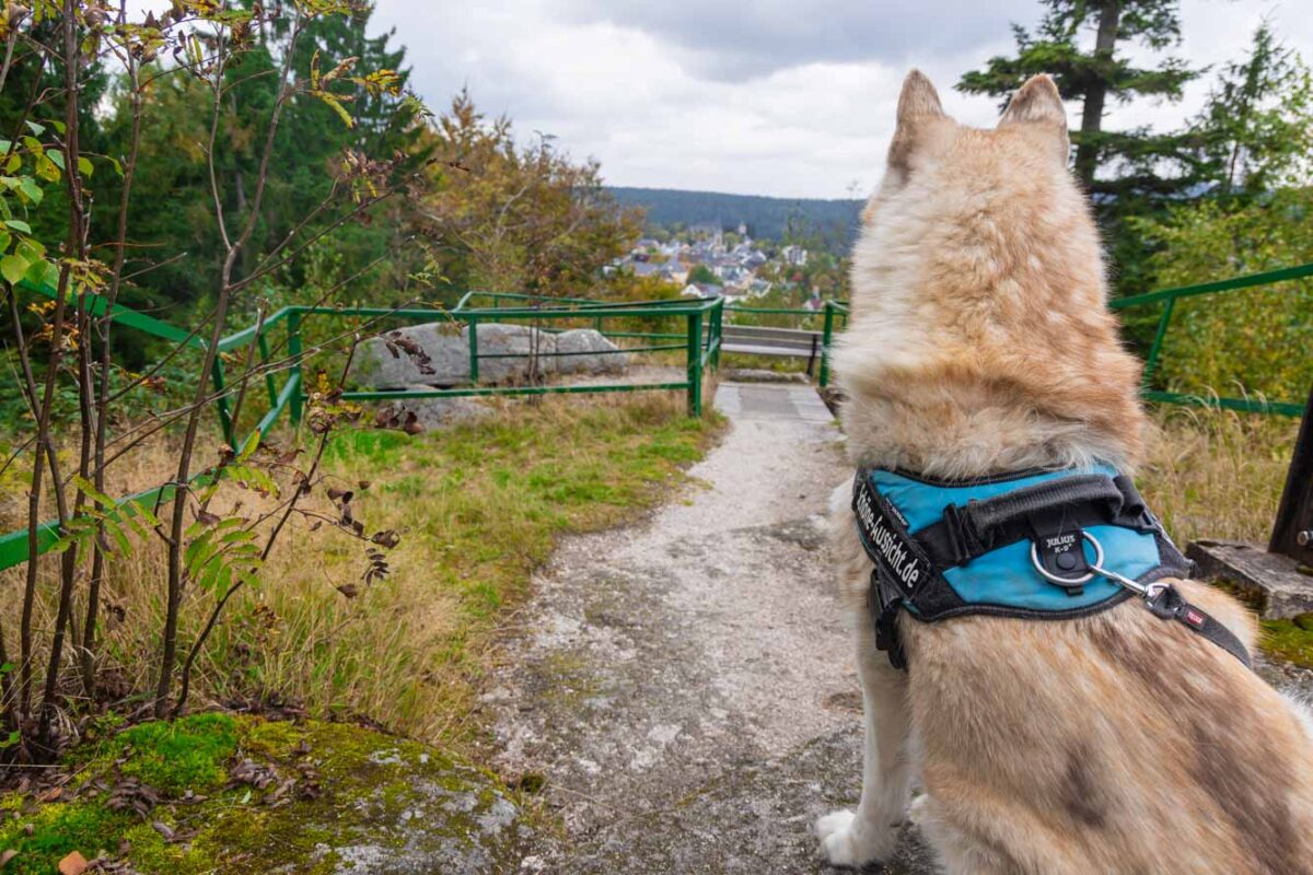 Märchenwanderweg in Bischofsgrün Kleine Tour für die Familie 3 Für die Eltern gibt es schöne Aussichten auf Bischofsgrün und das Fichtelgebirge
