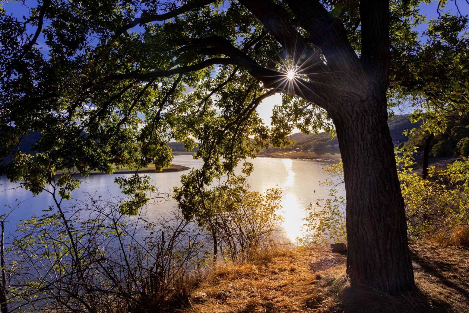 Seen in Unterfranken - Baden, Wandern und Erholen 1