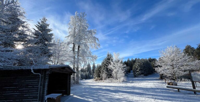 Erlebe Wandern, schöne Ausflüge und Seen zum Baden 27 Wandern im Winter in Franken - hier gibt es Winterwanderwege