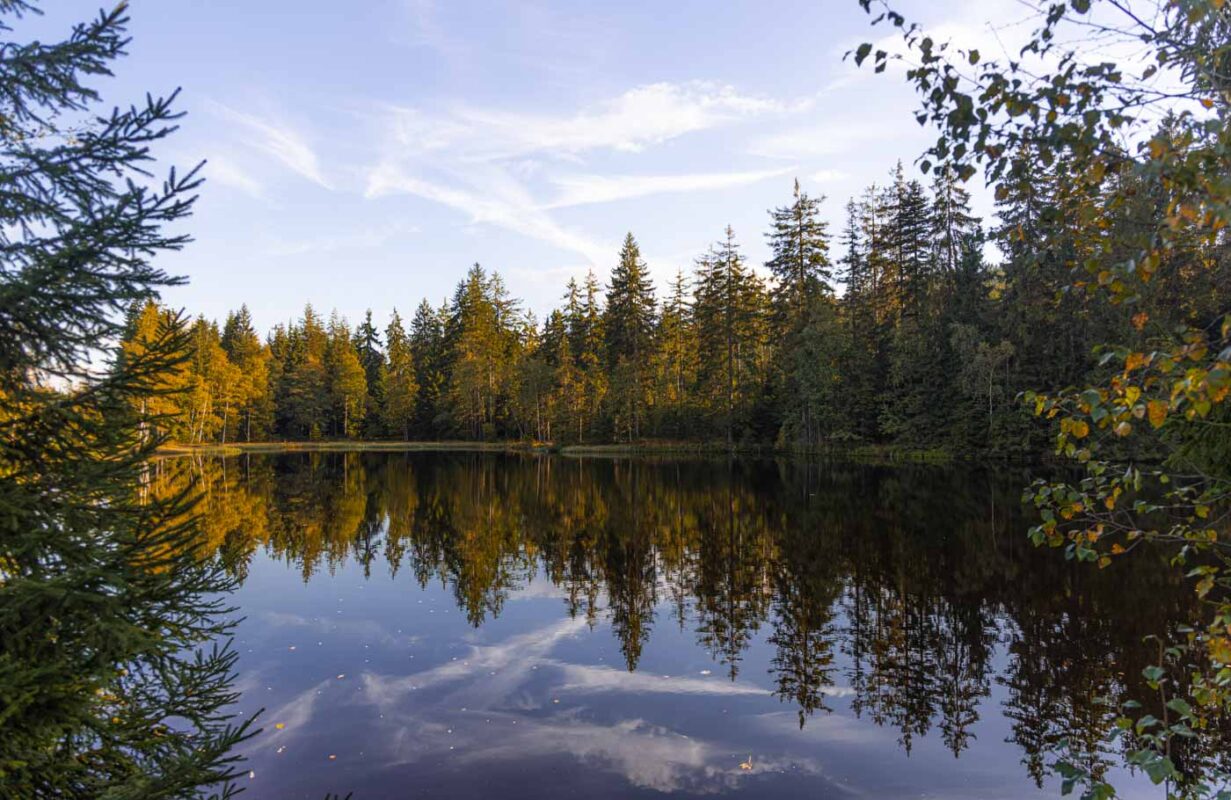 Wellness-Wanderweg-Weg hier seht ihr den Karchessee