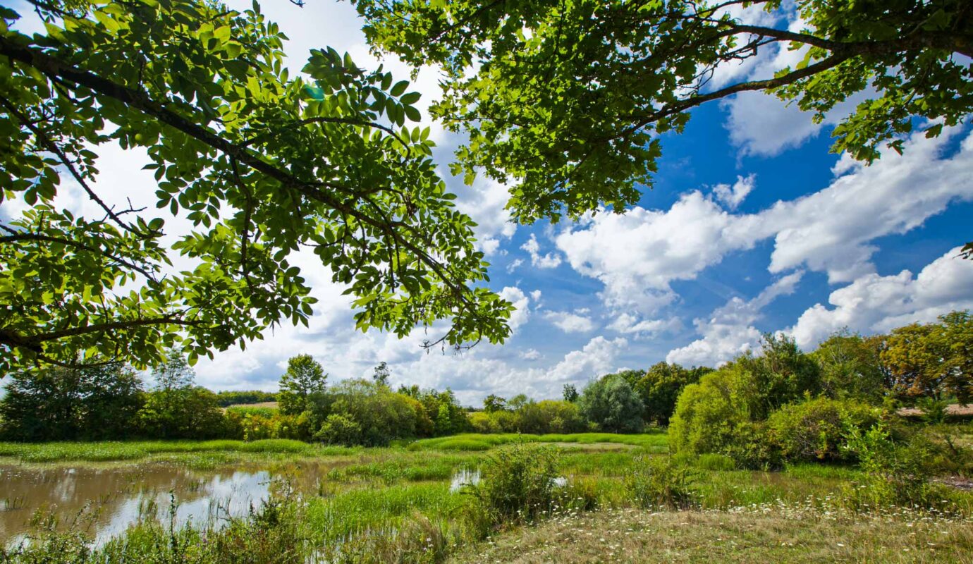 Durch den Muschelkalk - 5 Km Geologieweg in Bad Neustadt 4
