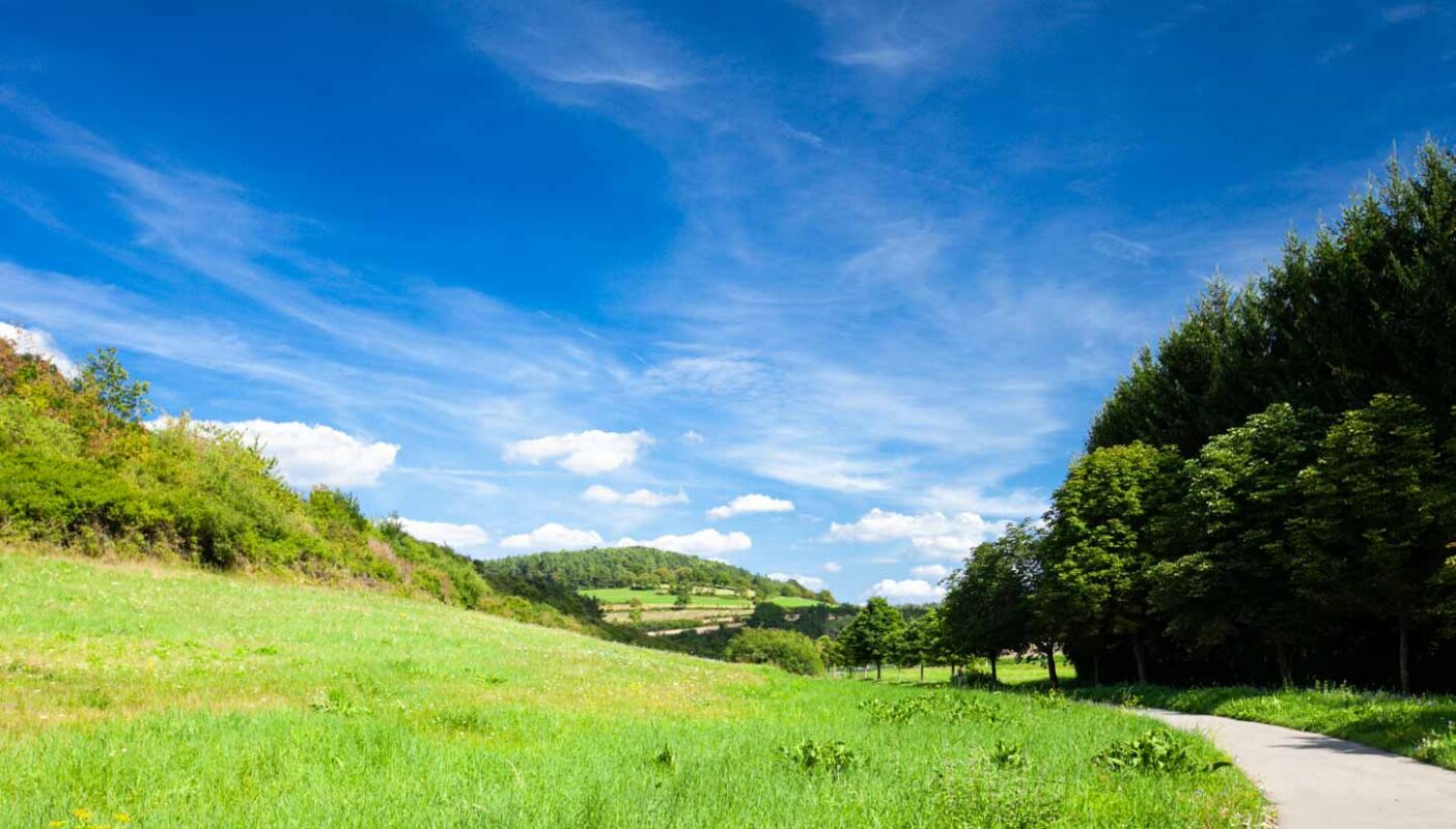 Durch den Muschelkalk - 5 Km Geologieweg in Bad Neustadt 2