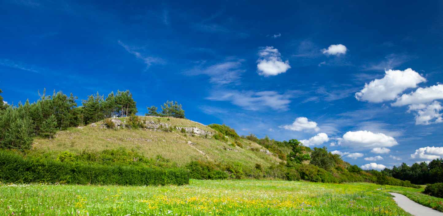 Durch den Muschelkalk - 5 Km Geologieweg in Bad Neustadt 1