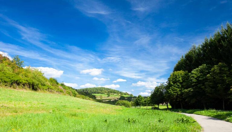 Durch den Muschelkalk - 5 Km Geologieweg in Bad Neustadt 9 Durch den Muschelkalk