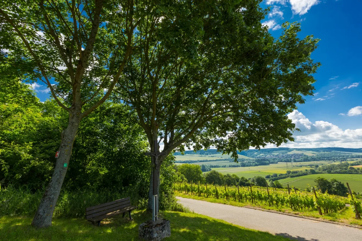 Distelhäuser Bierwanderweg - Schöne Runde mit Einkehr 3