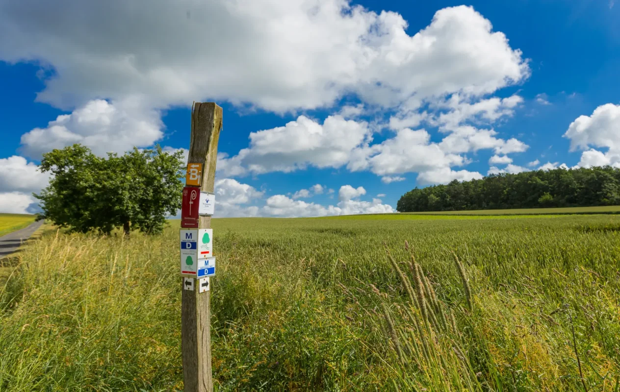 Distelhäuser Bierwanderweg - Schöne Runde mit Einkehr 2