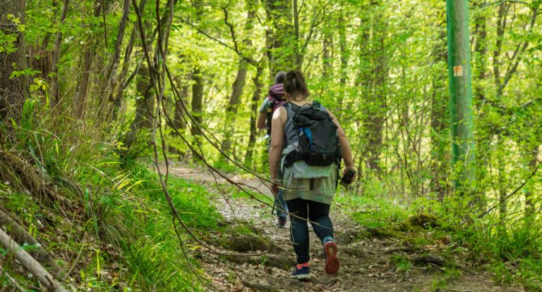 Erlebe Wandern, schöne Ausflüge und Seen zum Baden 5 Wandern in Mittelfranken - Tolle Wälder und Wanderwege