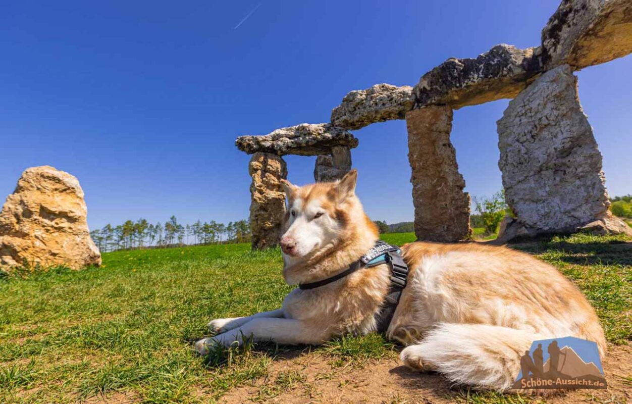Rundwanderung Schloss Greifenstein und Femehöhle 7 Fränkisches Stonehenge - Ausflug mit Hund