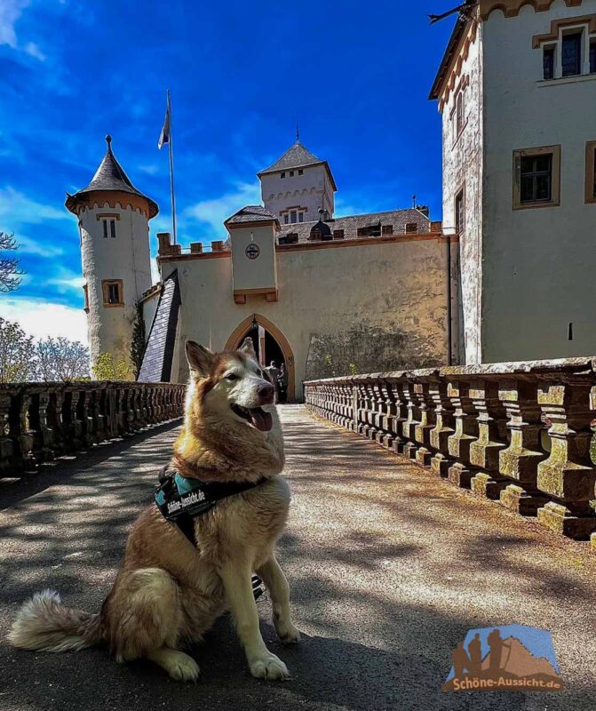 Rundwanderung Schloss Greifenstein und Femehöhle 6 Schloss Greifenstein mit Hund