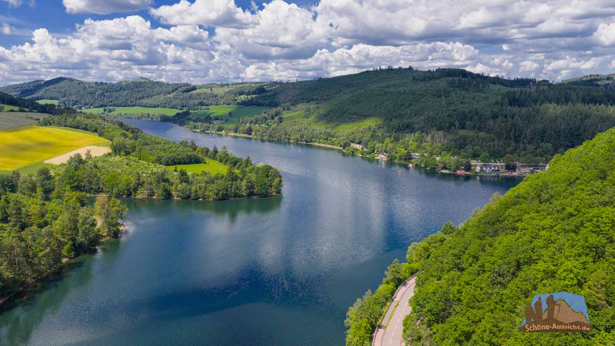 Der Diemelsee ist besonders waldreich und vor allem die Knorreichen um den Eisenberg sind ein Highlight der 48h Extrem Extrem