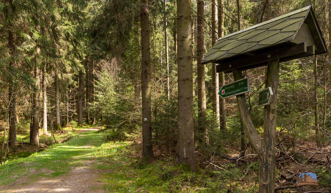 Rundwanderung an der Talsperre Scheibe-Alsbach 2