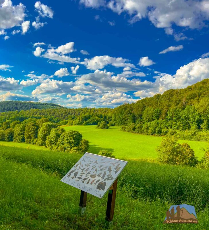 3 Tage am Diemelsee 3 Naturlehrpfad Rödental