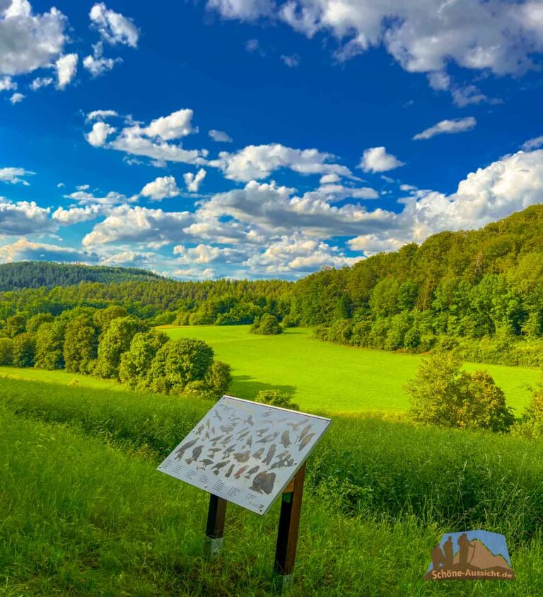 Erlebe Wandern, schöne Ausflüge und Seen zum Baden 5 Naturlehrpfad Rödental