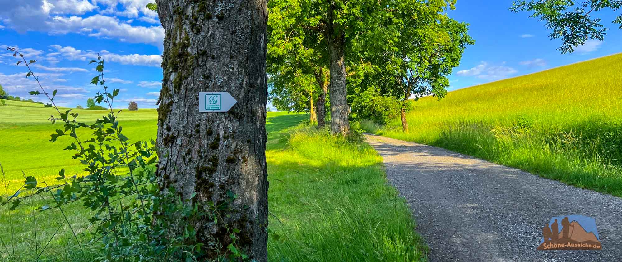Naturlehrpfad am Weinberg Rödental 5