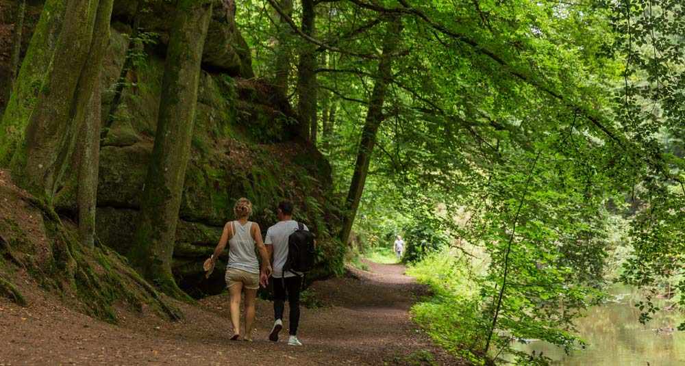 Wandern in der Fränkischen Schweiz - Top Wege und Felsen 1 Wandern in der Fränkischen Schweiz - Top Wege und Felsen 1
