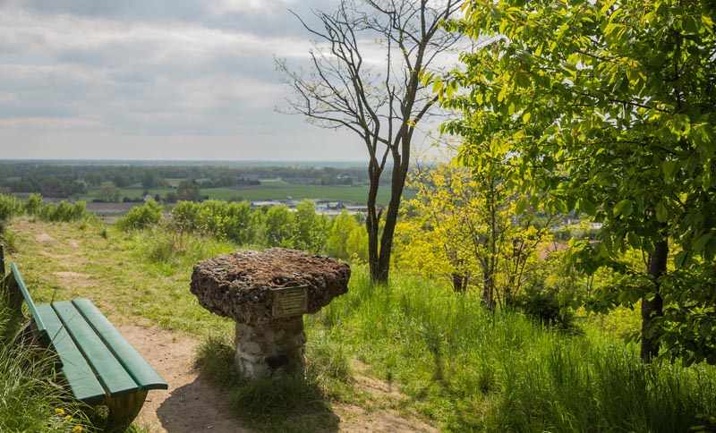 Teutoschleife Tecklenburger Bergpfad 3 Tecklenburger Bergpfad