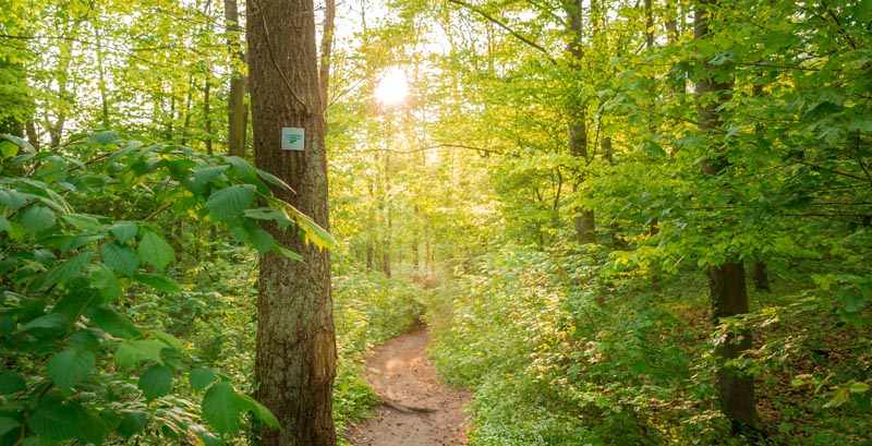 Teutoschleife Canyonblick 2 6C9B0787