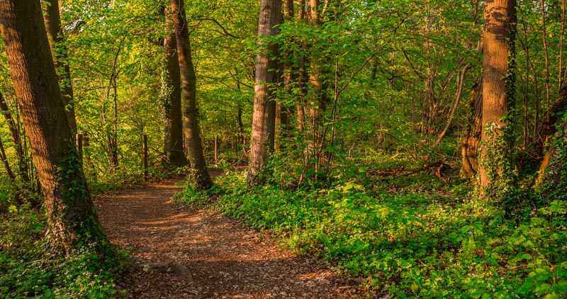 Teutoschleife Canyonblick 3 6C9B0800