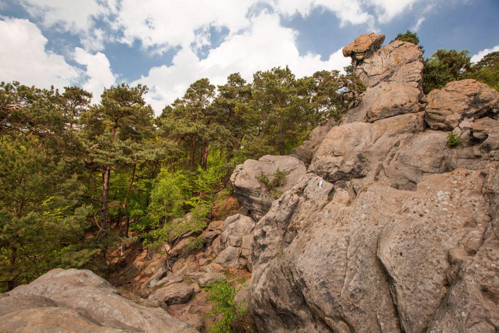 Wandern Nrw Die Schönsten Wanderwege In Nrw Als Blog Bilder - 