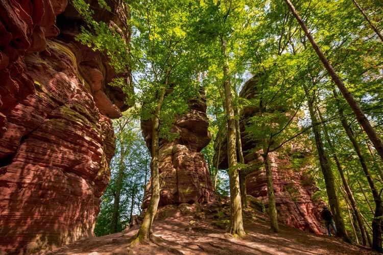Der Altschloßpfad zum Altschloßfelsen - Unverhofft beeindruckend 8 Altschlosspfad