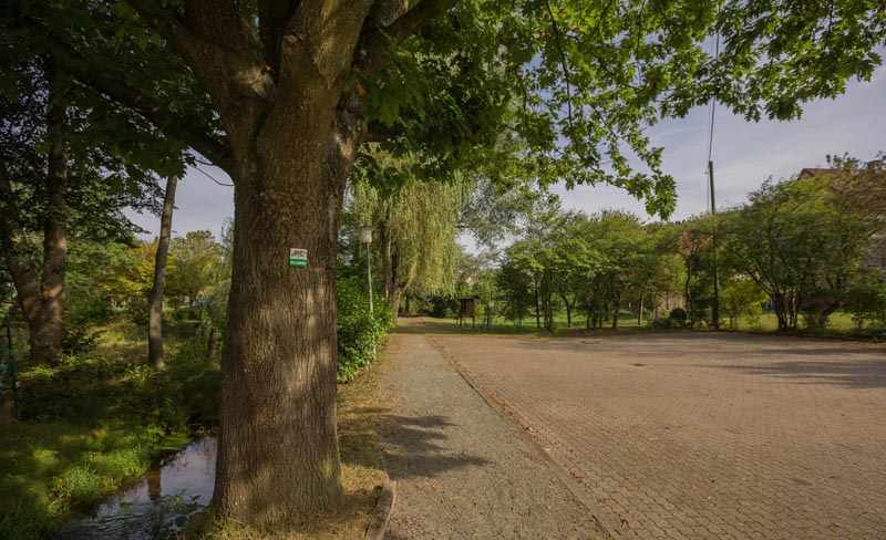 Der Altschloßpfad zum Altschloßfelsen - Unverhofft beeindruckend 3 6C9B2987