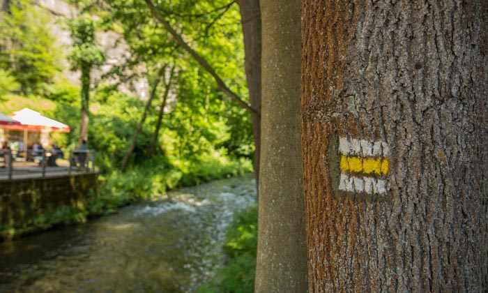 Die Edmundsklamm und Wilde Klamm 2 Edmundsklamm