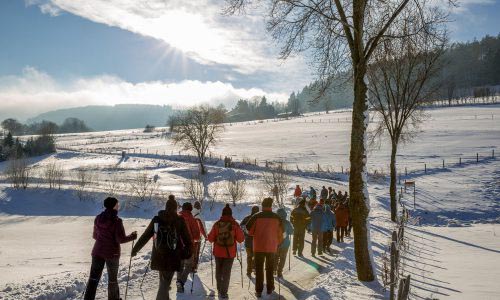 Trail und Winterwandern in Reit im Winkl - 14, 21, 30 und 42Km 21