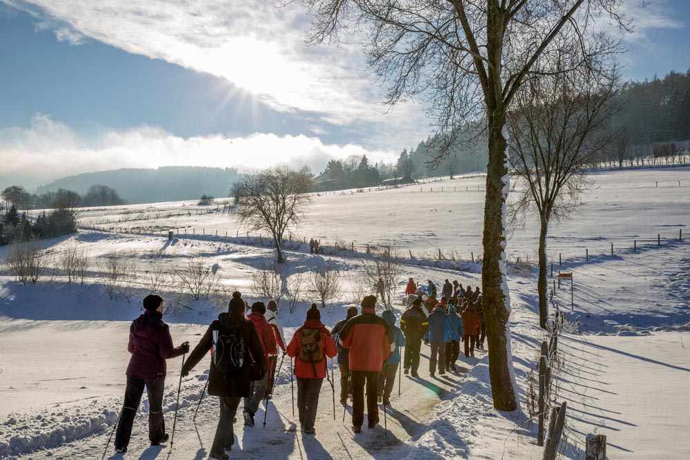 Trail und Winterwandern in Reit im Winkl - 14, 21, 30 und 42Km 1
