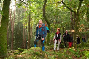 Wandern Pfalz - Die schönsten Wanderideen im Pfälzer Wald 3