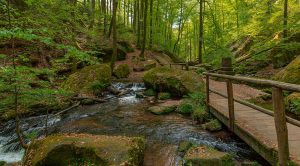 Das Karlstal in der Pfalz